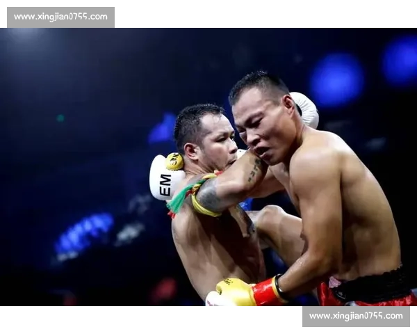 播求对决袁兵巅峰之战泰拳力量与中国硬汉的正面对撞全程高燃回顾