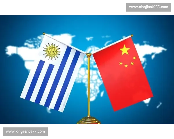 乌拉圭对阵中国的实力较量与未来足球发展启示国际赛场观察与战略思考 乌拉圭对阵中国的实力较量与未来足球发展启示国际赛场观察与战略思考