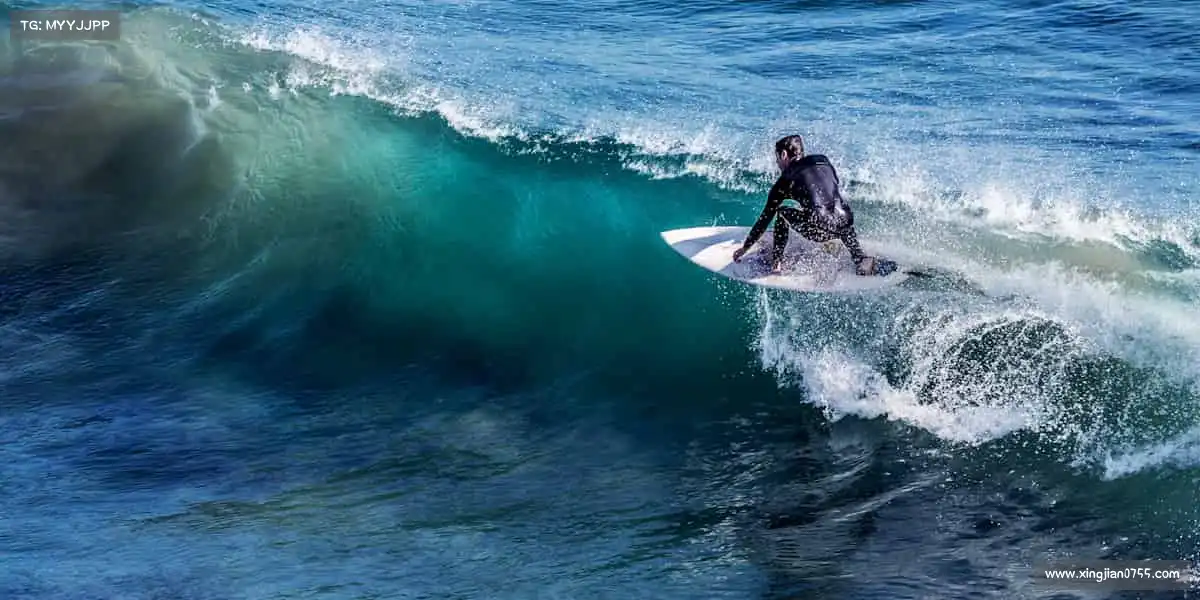 我们的品牌价值